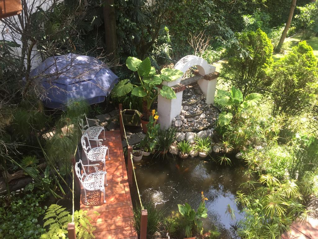 Villas Sol Y Luna Coyoacan Мексико Сити Екстериор снимка